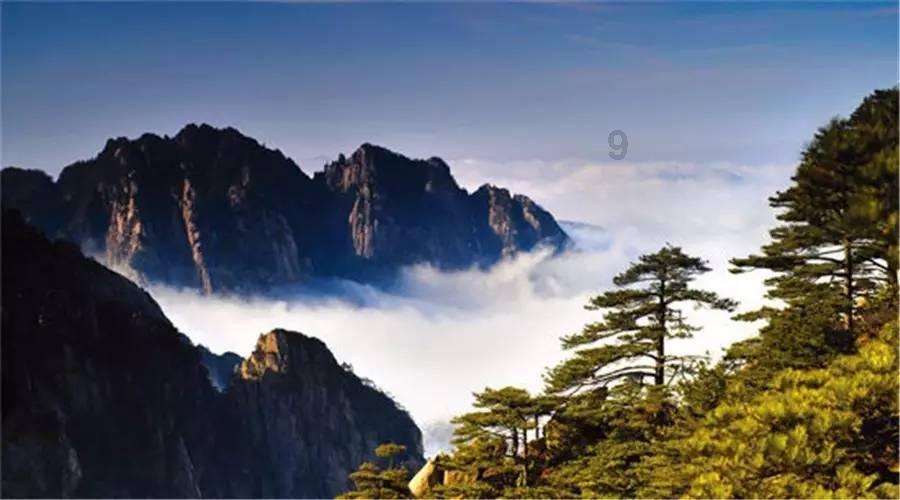 虫虫助手下载