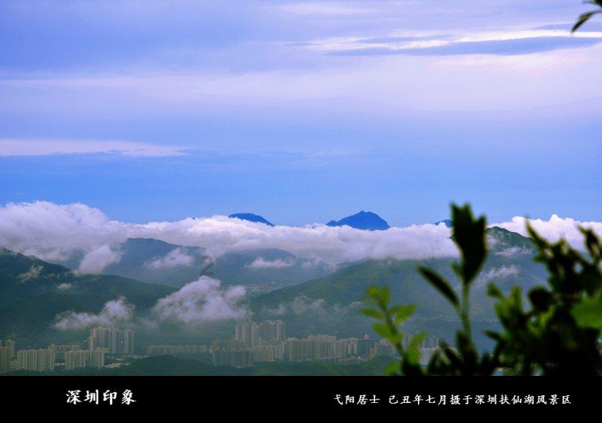 坊子区解锁品牌农业发展“密码”