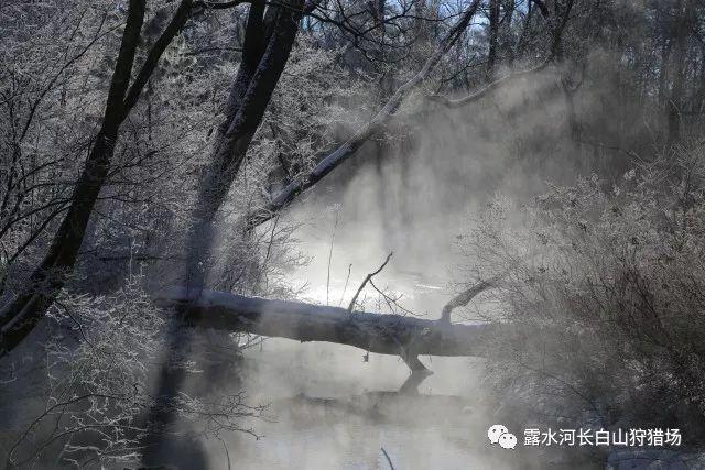我省2名个人2个团队获“国家工程师奖”
