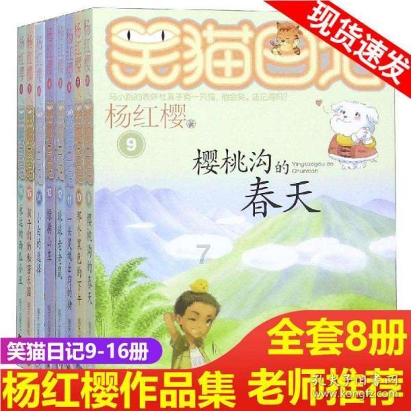 矽源特ChipSourceTek-CST306D是PDFN3333-8L,30V,40A的双N--Mos