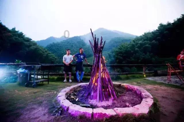 救援可爱小松鼠