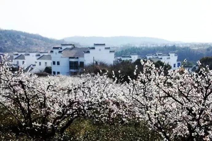 探探猫宝石岛2
