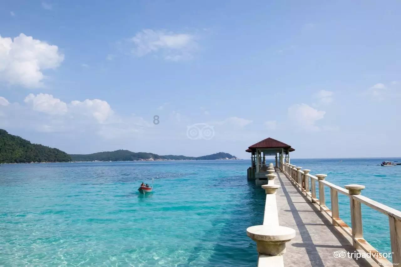 夏季热带海滩逃生