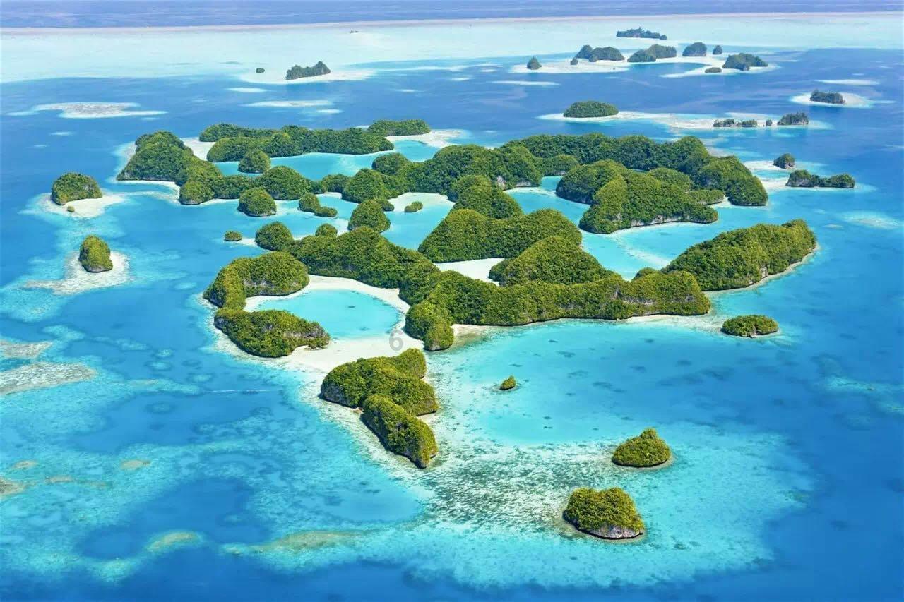 艾瑞咨询：2024年中国交易数字化智能平台趋势报告（附下载）