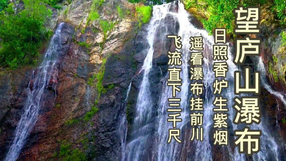 88影视