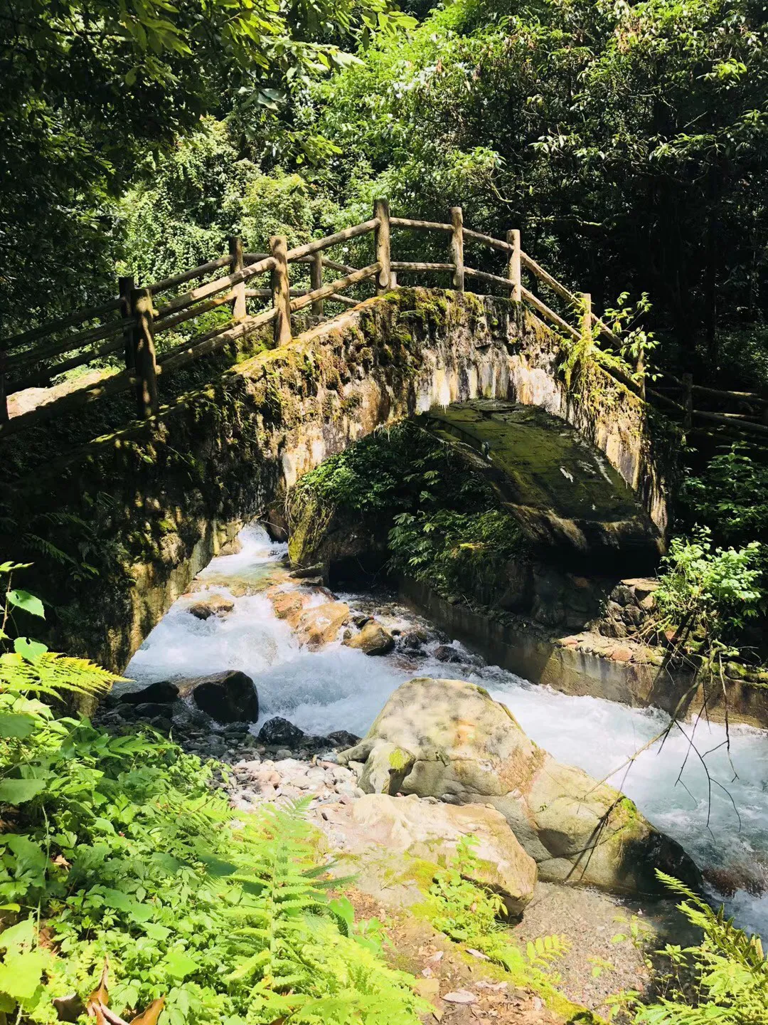 大格局！张常宁带领江苏击败北京，但北京球迷纷纷肯定她的复出！