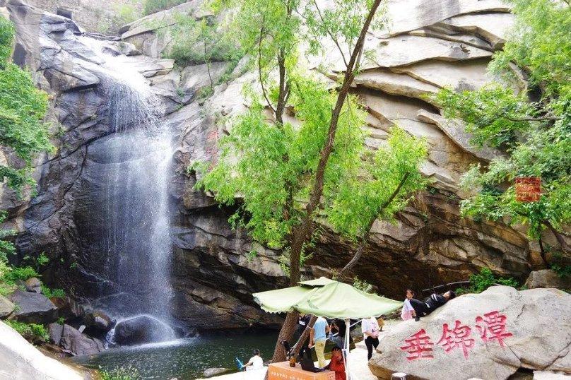 平价洗发水防脱生发哪个牌子好?女大学生真实测评