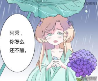 带帽男孩大冒险