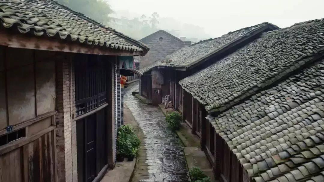 摩根士丹利基金缪东航:积极关注华为产业链的投资机会
