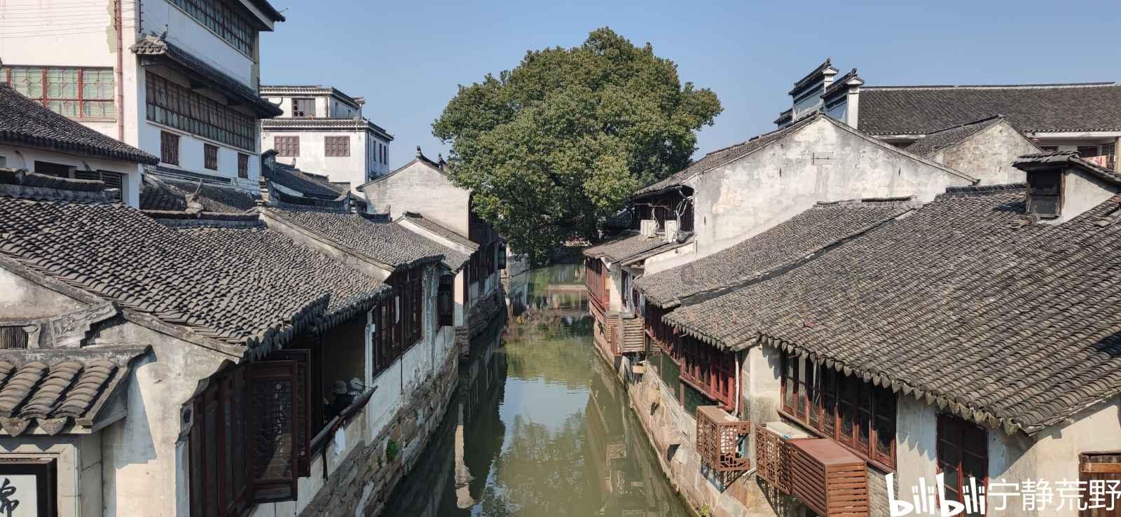 营救小猫头鹰