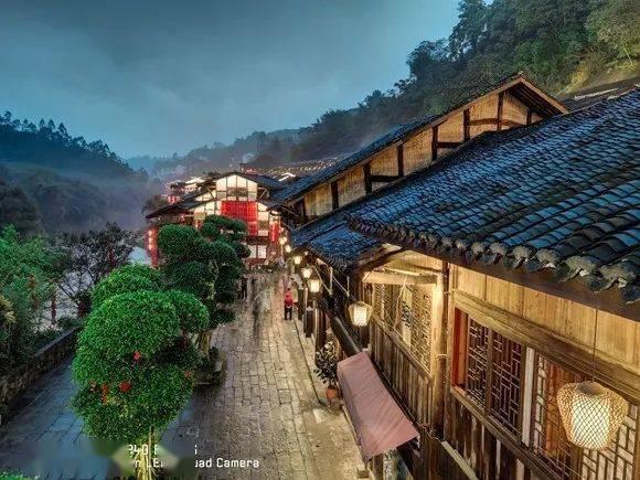 土壤板结，盆栽快死了，随手插根吸管，土壤瞬间疏松透气，猛开花