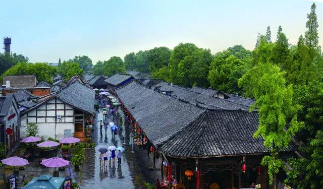 陈鹏作:双金属纳米片调控工程高效电催化电池