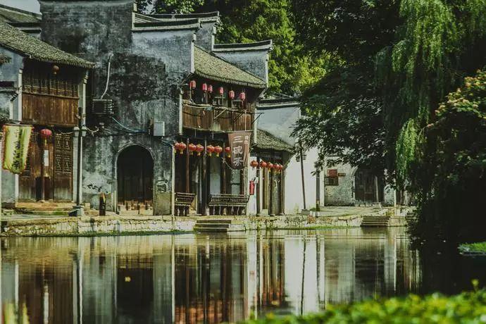 上海市人大代表陆方舟:如果你有梦想有活力,不妨“家”定新城